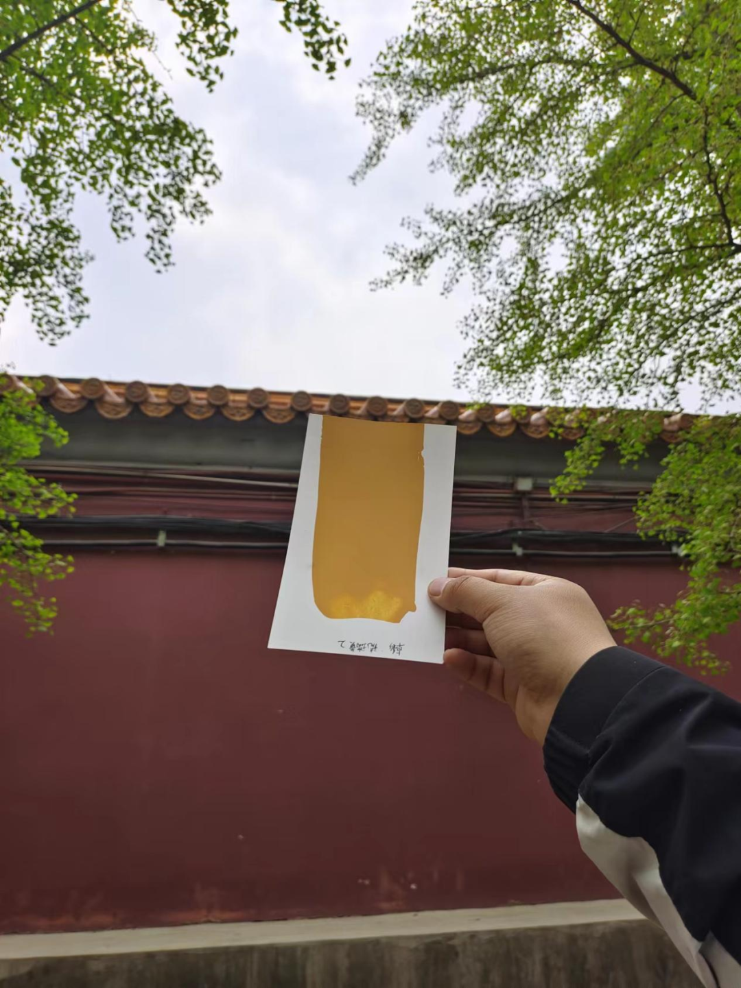 fa3be58f59f4e425_1786525741959 图片